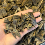 Agarwood (Worm-eaten / Block)