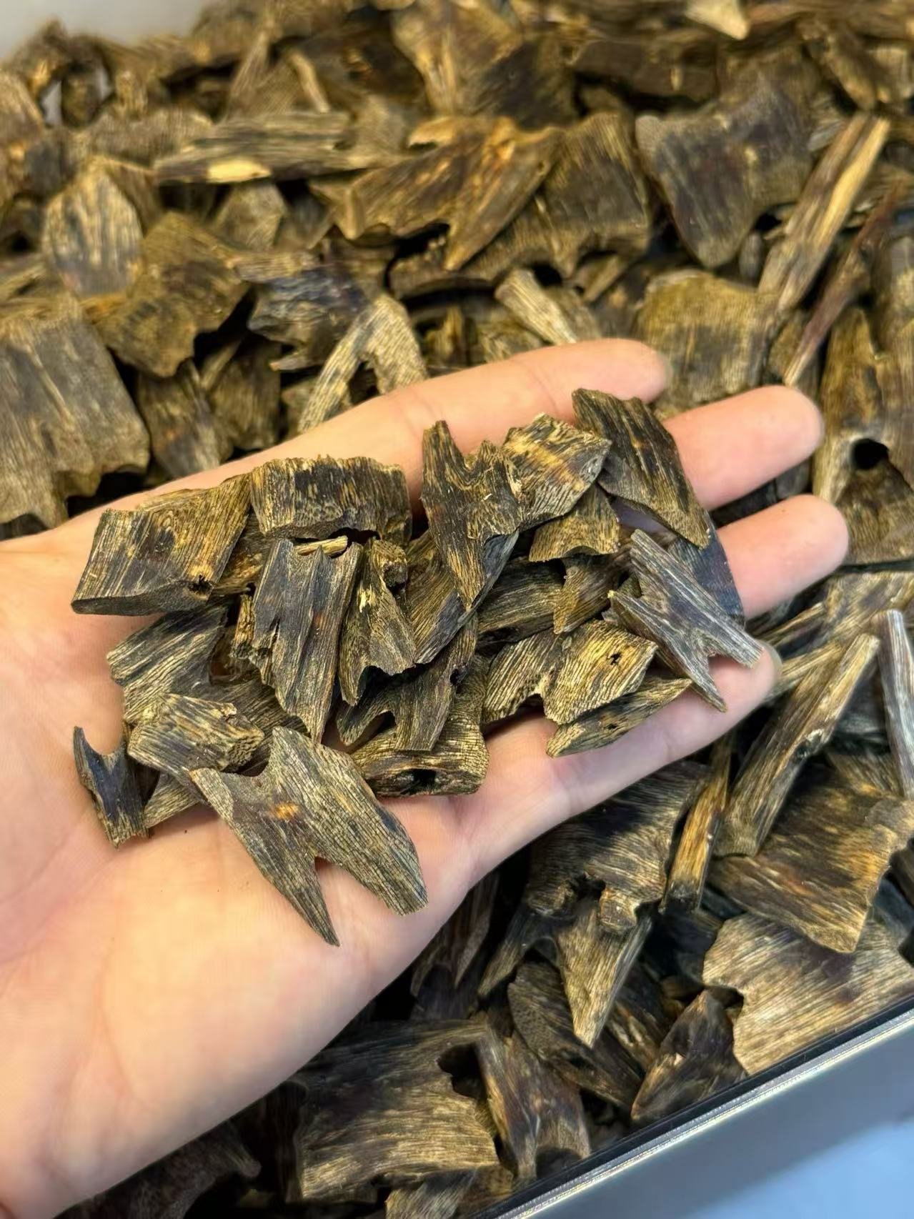 图片1 Agarwood (Worm-eaten / Block) - Image 1
