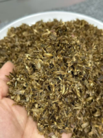 Qinan Agarwood Shredded Pieces (High-Oil Scraps) - Image 3