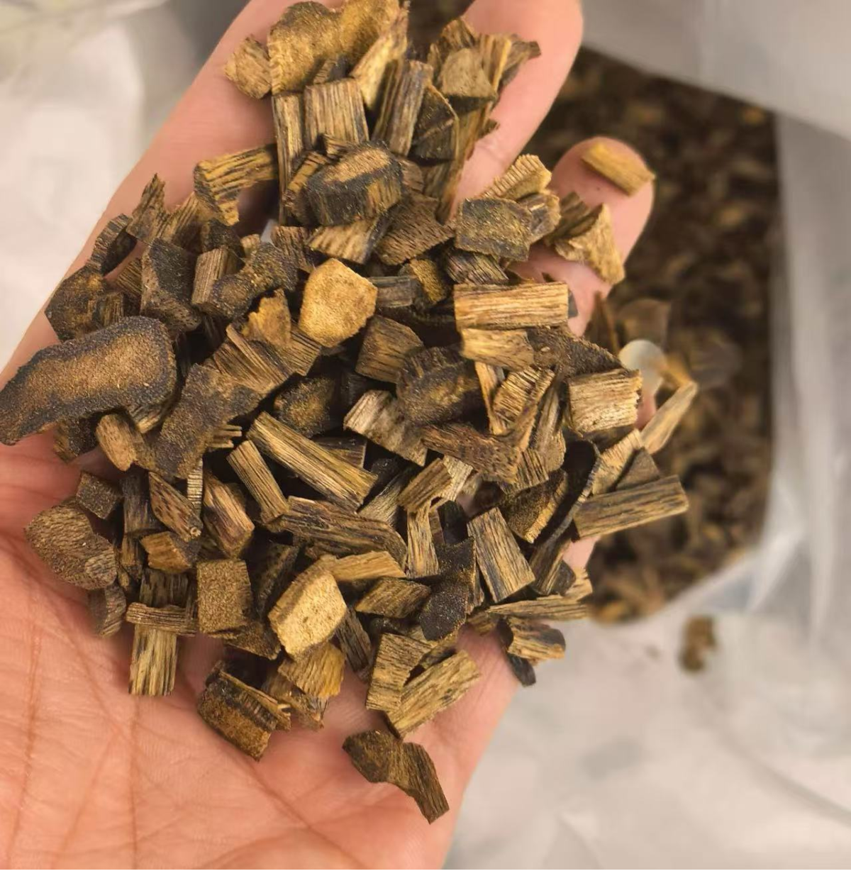 High-Oil Agarwood Bead Scraps (Qinan / Old Material) - Image 3
