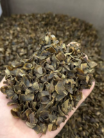 Agarwood Slices (High-Oil Fragments)