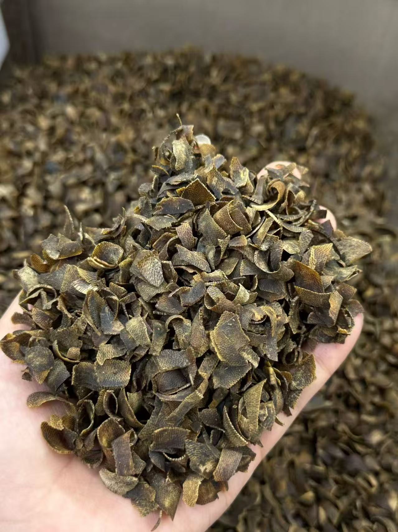 图片7 Agarwood Slices (High-Oil Fragments) - Image 1